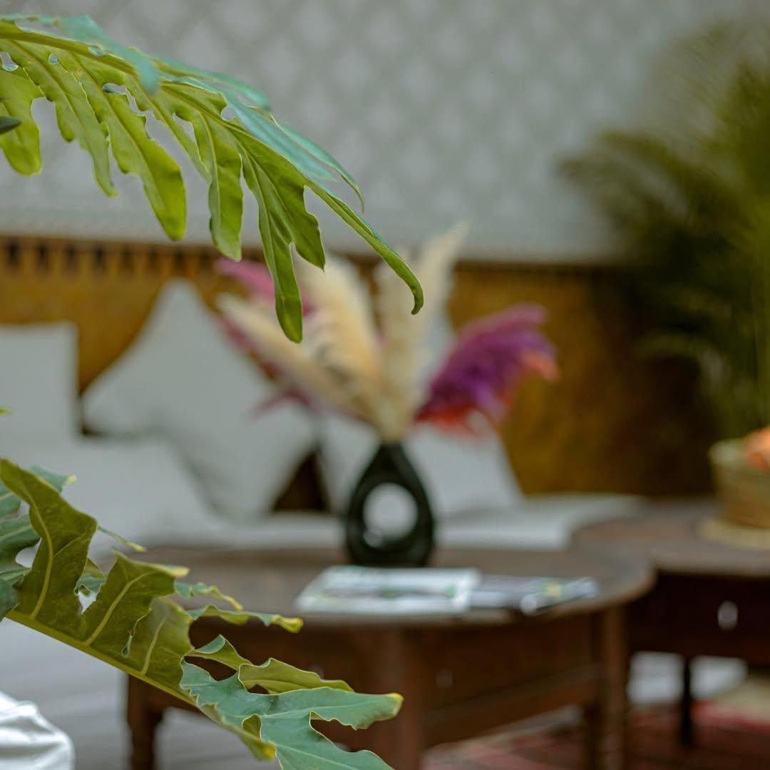 Darino 3* Marrakesh